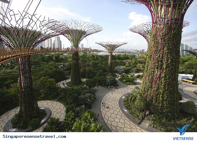 Công viên Gardens by the Bay - Ảnh 2 Công viên Gardens by the Bay - Ảnh 2