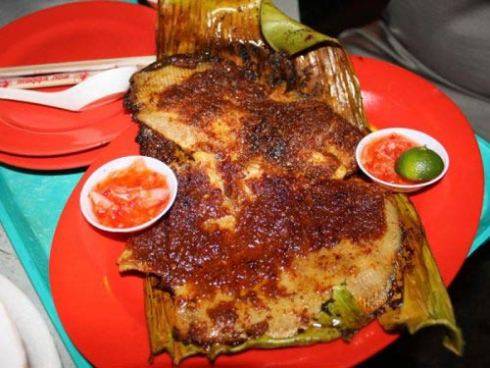 stingray.jpg (490×368)