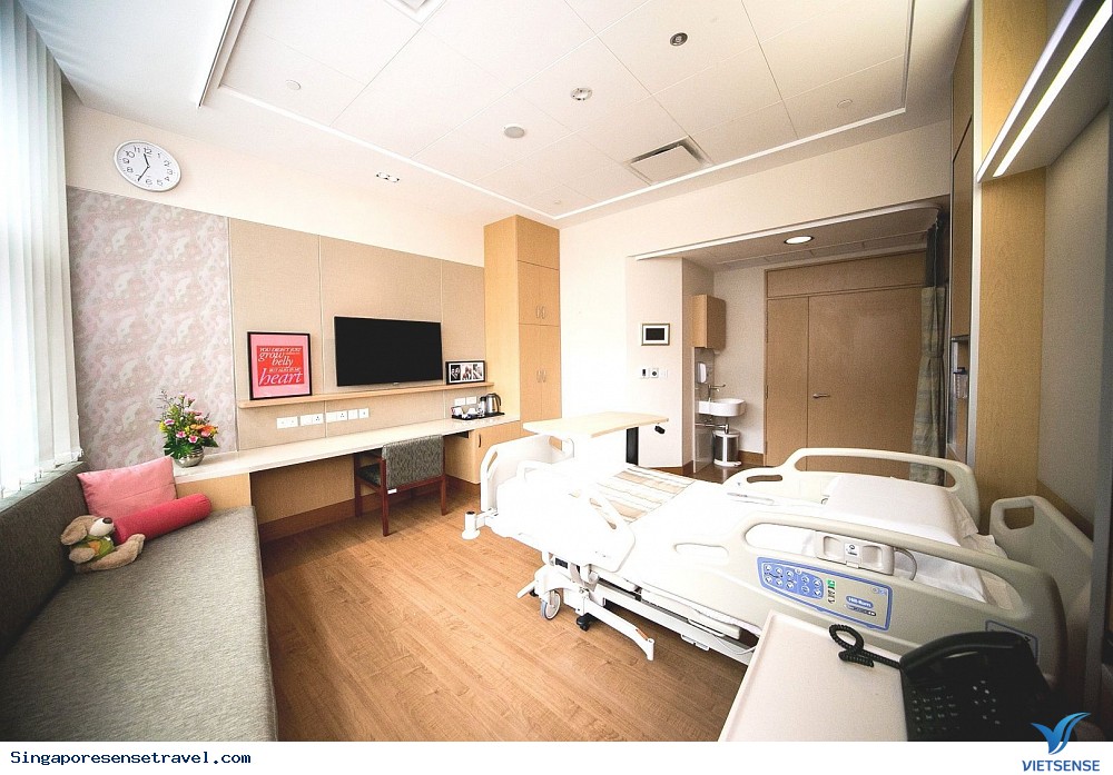 Khám phá Singapore với bệnh viện với khách sạn 5 sao - Ảnh 2 Khám phá Singapore với bệnh viện với khách sạn 5 sao - Ảnh 2