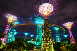9 điều du khách nên làm khi Vivu Singapore
