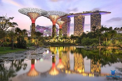 ẤN TƯỢNG QUỐC ĐẢO XANH SINGAPORE BỞI 5 LOẠI CÂY ĐẶC BIỆT ẤN TƯỢNG QUỐC ĐẢO XANH SINGAPORE BỞI 5 LOẠI CÂY ĐẶC BIỆT