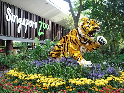 Bạn có con nhỏ hãy đưa tới 5 sở thú Singapore sau Bạn có con nhỏ hãy đưa tới 5 sở thú Singapore sau