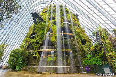 Cloud Forest “Rừng mây” đẹp tuyệt trần Cloud Forest “Rừng mây” đẹp tuyệt trần