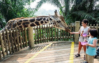 Kinh nghiệm Vivu Singapore với gia đình có con nhỏ Kinh nghiệm Vivu Singapore với gia đình có con nhỏ