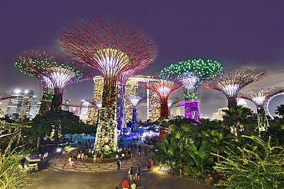 Vườn thực vật Garden by the Bay Vườn thực vật Garden by the Bay