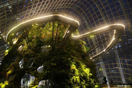 Độc đáo kỳ quan số 8 thế giới – Vườn bên vịnh Singapore