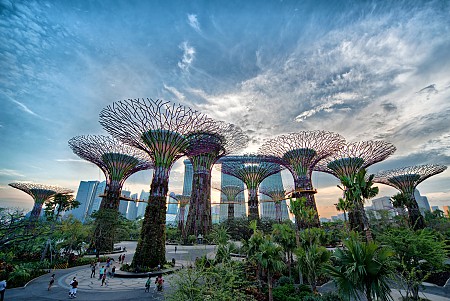 Garden By The Bay - Khu Vườn Độc Đáo Nhất Singapore