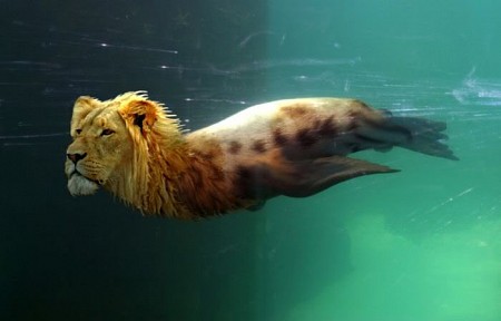Singapore có bao nhiêu tượng sư tử biển ?