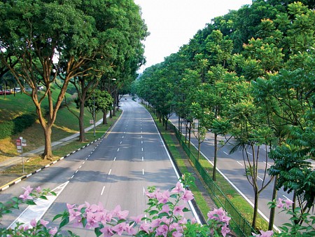 Singapore phủ xanh toàn bộ đất nước