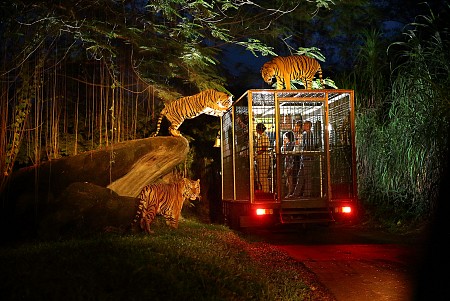 Sở thú Singapore khiến trẻ em mê mẩn