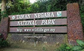 Taman Negara - vườn quốc gia của Malaysia