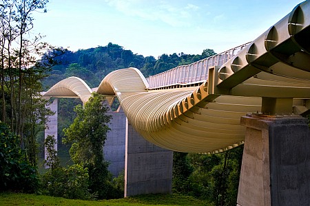 Tới Singapore ghé thăm cây cầu kì lạ nhất thế giới