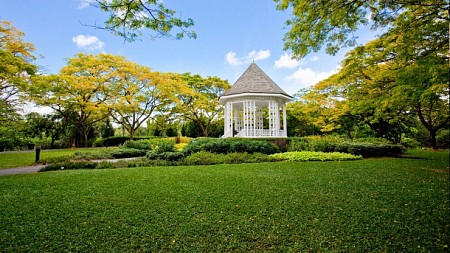 Vườn bách thảo Botanic garden Singapore