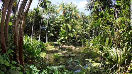 Vườn nhiệt đới Singapore được công nhận di sản thế giới