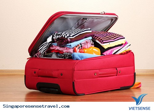 Những Điều Cần Biết Trước Khi Khám Phá Singapore - Ảnh 2