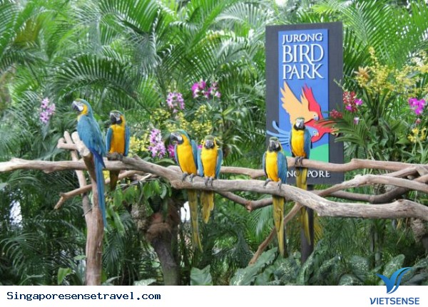 Những điều bạn biết trước khi đến Singapore - Ảnh 6 Những điều bạn biết trước khi đến Singapore - Ảnh 6