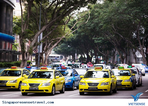 Đến Singapore sử dụng phương tiện công cộng chính gì để di chuyển? - Ảnh 3