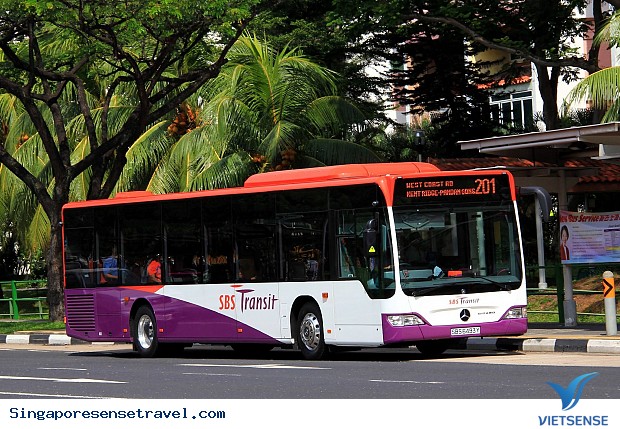 Đến Singapore sử dụng phương tiện công cộng chính gì để di chuyển? - Ảnh 2