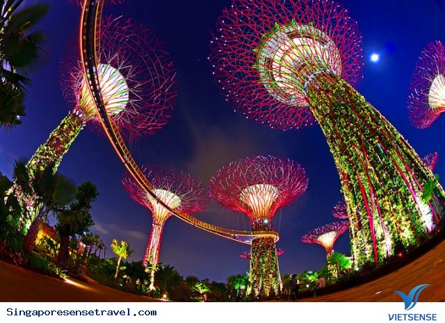 Lạc lối trong vườn siêu cây Lạc lối trong vườn siêu cây