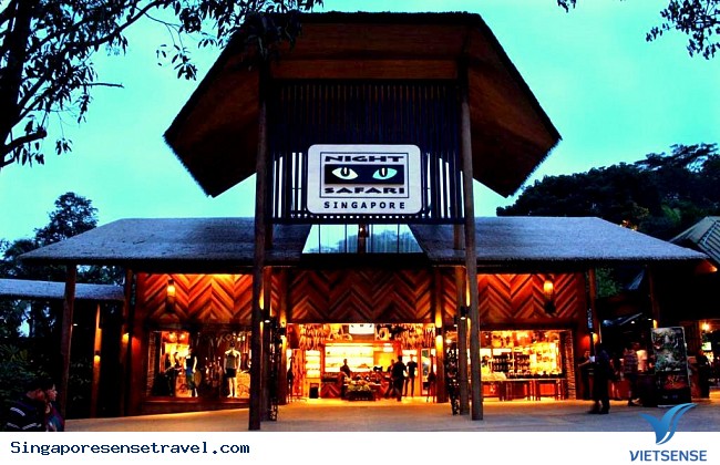 Kinh nghiệm khám phá sở thú đêm Night Safari 2018 - Ảnh 1
