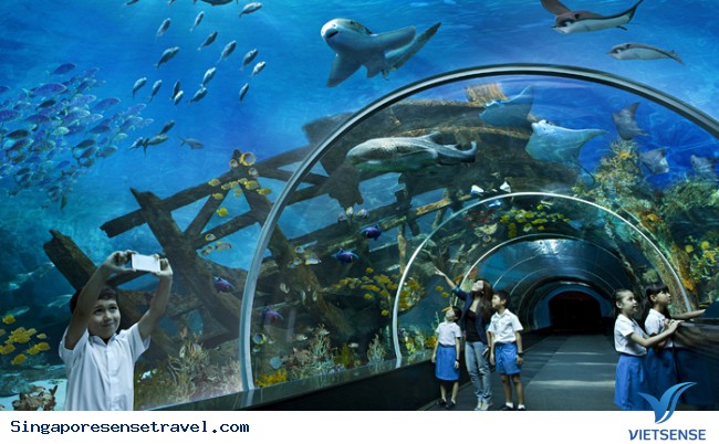 Những điểm đến không thể bỏ qua khi đến Malaysia - Ảnh 3