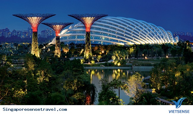 Những điểm đến tuyệt vời nhất cho lần đầu trải nghiệm Singapore - Ảnh 6 Những điểm đến tuyệt vời nhất cho lần đầu hành trình Singapore - Ảnh 6
