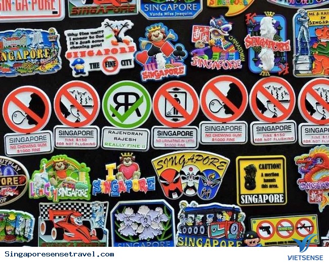 Những quy định nghiêm ngặt Của Singapore - Ảnh 1