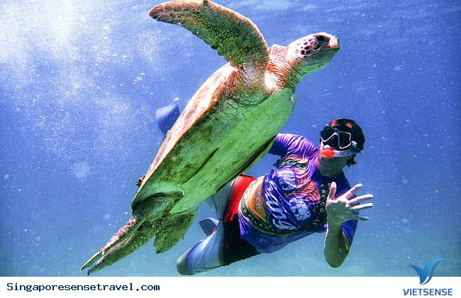 Những trải nghiệm tuyệt vời bạn nên thử khi tới
 Malaysia - Ảnh 10