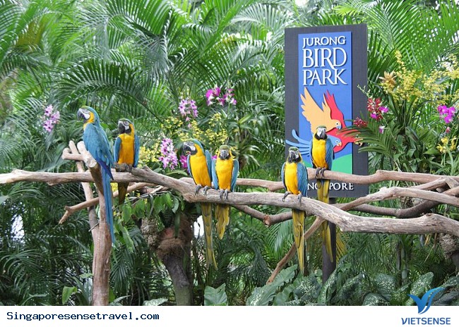 Top 9 điểm đến tuyệt vời nhất tại Singapore - Ảnh 2 Top 9 điểm đến tuyệt vời nhất tại Singapore - Ảnh 2