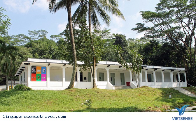 0 đồng để trải nghiệm trải nghiệm trên đất Singapore - Ảnh 5