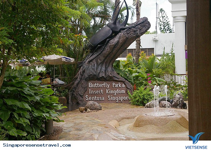 Công viên bướm & Vương quốc Côn trùng Công viên bướm & Vương quốc Côn trùng