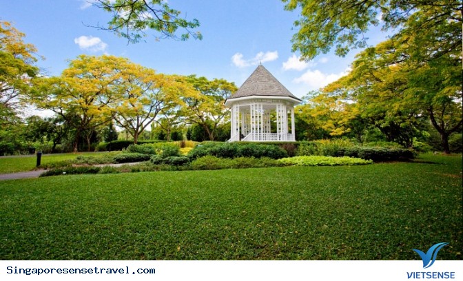 Vườn thực vật Singapore (Botanic Garden) Vườn thực vật Singapore (Botanic Garden)