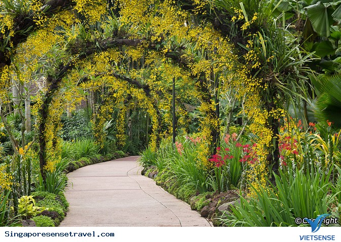 6 địa điểm cần phải đi nếu tới Singapore - Ảnh 3