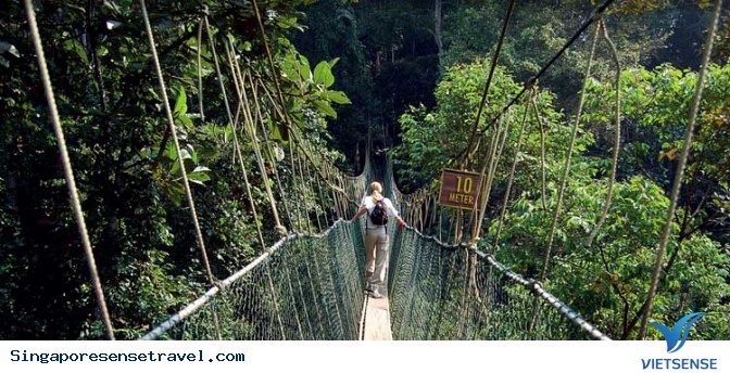 Các địa điểm tham quan nổi tiếng Malaysia - Ảnh 9 Các địa điểm tham quan nổi tiếng Malaysia - Ảnh 9