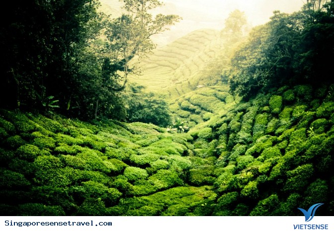 Các địa điểm tham quan nổi tiếng Malaysia - Ảnh 7 Các địa điểm tham quan nổi tiếng Malaysia - Ảnh 7