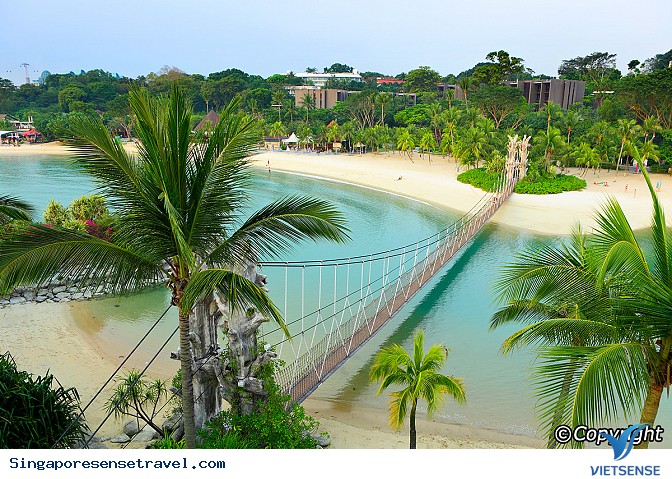 Các trải nghiệm dưới nước cực kỳ thú vị ở Singapore bạn nên thử - Ảnh 1