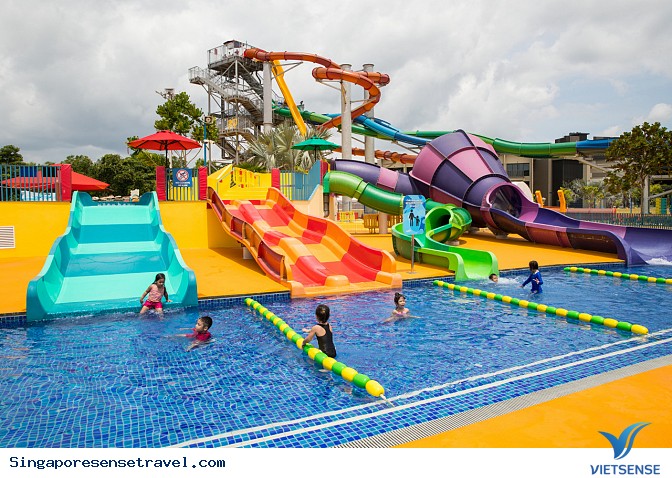 Các trải nghiệm dưới nước cực kỳ thú vị ở Singapore bạn nên thử - Ảnh 2