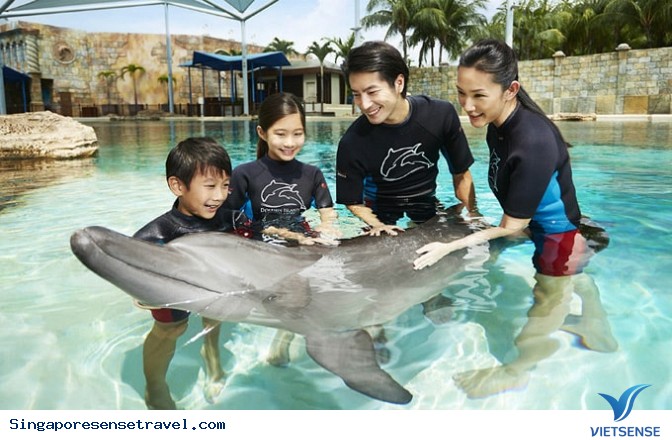 Đảo cá heo thú vị ở đảo Sentosa - Ảnh 1