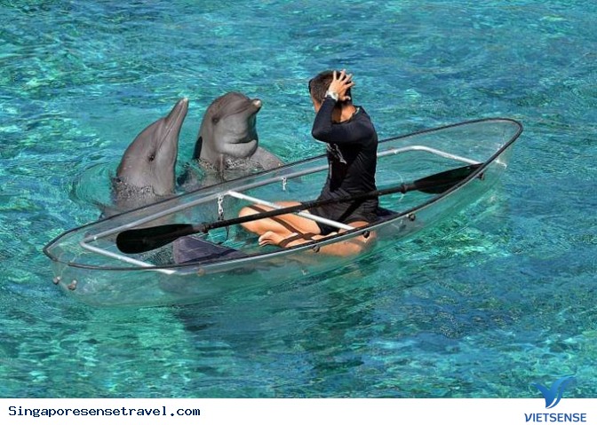 Đảo cá heo thú vị ở đảo Sentosa - Ảnh 2