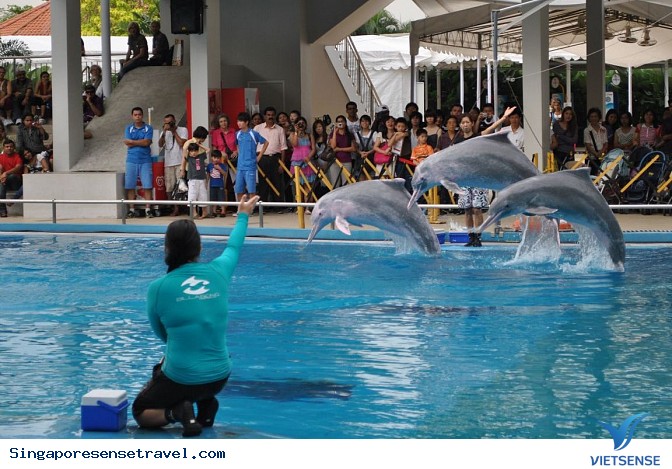 Đảo Sentosa - Ảnh 9