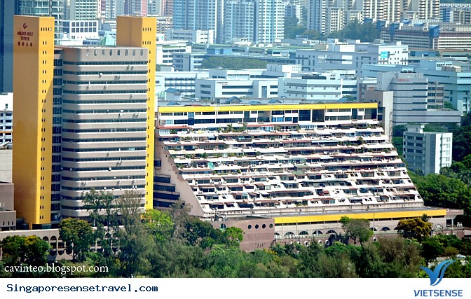 Đến Singapore ăn ở đâu? - Ảnh 2