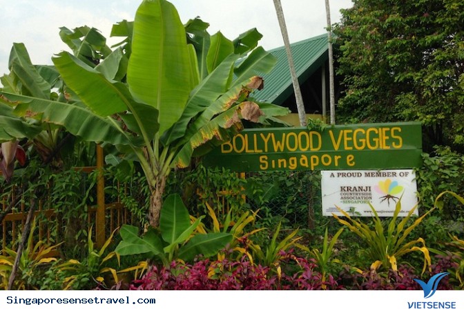 Đọc tên các trang trại cho bạn trải nghiệm thú vị về Singapore - Ảnh 1 Đọc tên các trang trại cho bạn trải nghiệm thú vị về Singapore - Ảnh 1