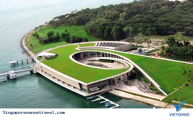 Đến Singapore để khám phá đảo quốc sư tử mê đắm lòng người - Ảnh 8