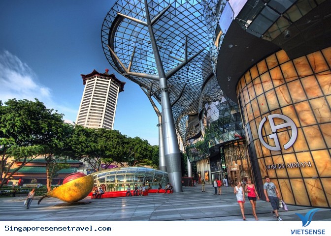 Đừng đến Singapore nếu bạn vẫn muốn về nhà - Ảnh 4 Đừng đến Singapore nếu bạn vẫn muốn về nhà - Ảnh 4