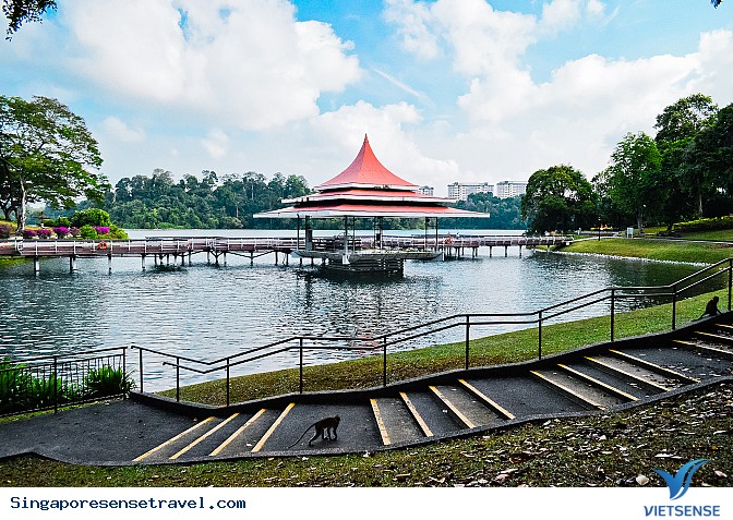 Không gian thoáng đãng