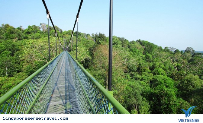 Ghé chơi hòn ngọc xanh của Singapore - Ảnh 2