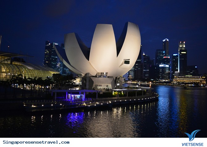 Ghé thăm những bảo tàng tuyệt vời ở Singapore - Ảnh 3