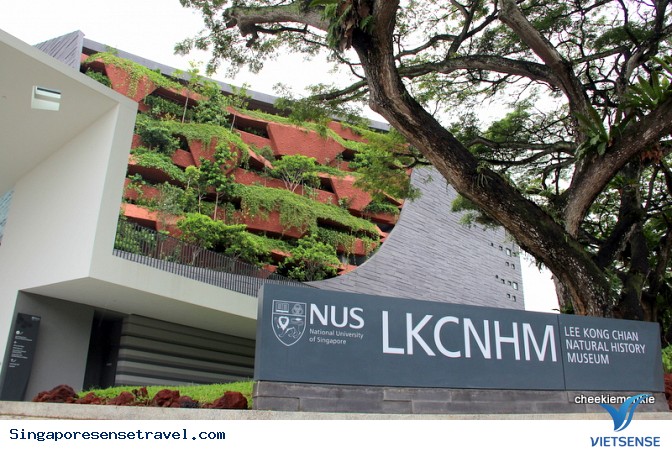 Ghé thăm những bảo tàng tuyệt vời ở Singapore - Ảnh 1