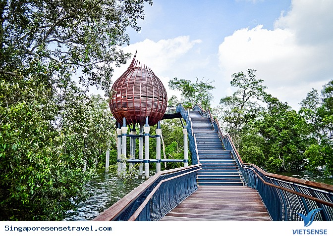 Khu bảo tồn tồn ngập mặn Sungei Buloh ở Singapore - Ảnh 2