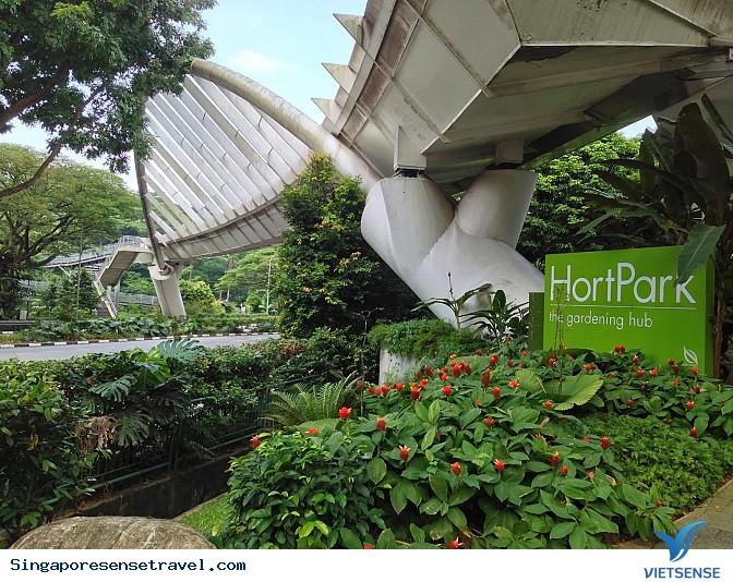 Những địa điểm chụp ảnh đẹp bậc nhất Singapore - Ảnh 1